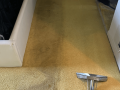 Carpet cleaning