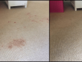 Stain removal from carpet